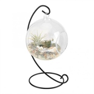 Hanging Glass Vase Large Terrarium with Frame for Air Plants