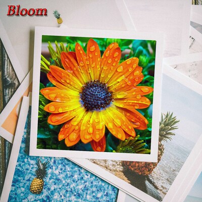 inkjet printer photo paper of 100 Sheets Glossy 4R 4x6 print