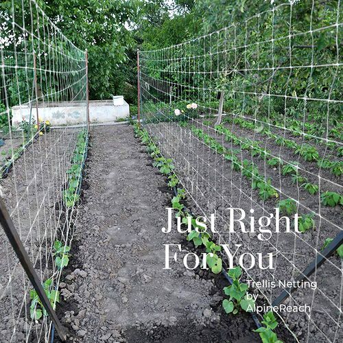 Plant Trellis Netting Heavy-Duty Polyester Plant Support Vin