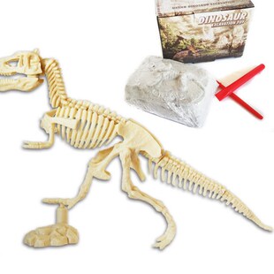 Dinosaur Fossil Di M size asseMbly toy chilDren