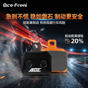 台湾ACE小螃蟹刹车皮水鸟电动车刹车片九号极核小牛耐磨碟刹片