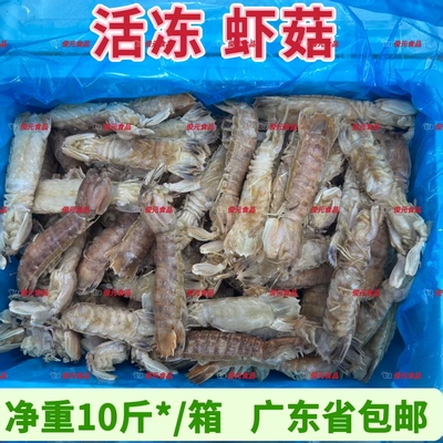 虾姑海鲜富贵虾濑尿虾琵琶虾