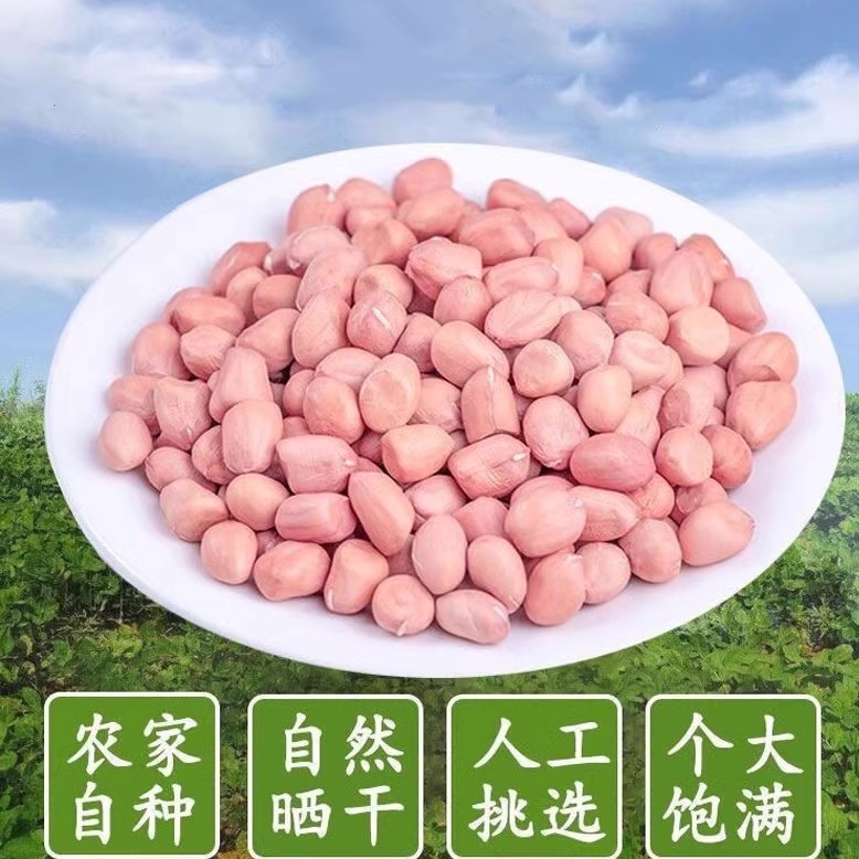 2023年新货白沙花生米农家无壳花生仁精选优质8筛中粒花生米含水