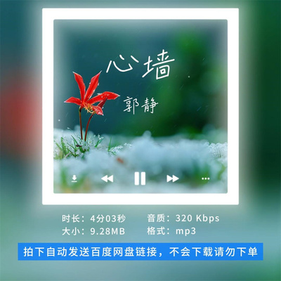 【淘淘伴奏】B2613郭静 心墙 伴奏 无人声 有前奏