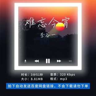 【淘淘伴奏】B1307李谷一 难忘今宵 原版伴奏 带和声