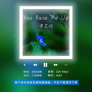 【淘淘伴奏】B3036谭芷昀 You Raise Me Up 新声代live版 无人声