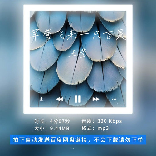 【淘淘伴奏】B2800王莹 军-营飞来一只百灵 原版伴奏 无人声