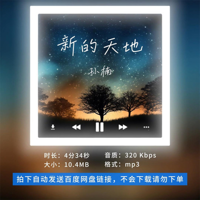 【淘淘伴奏】B1428孙楠 新的天地 原版伴奏 带和声
