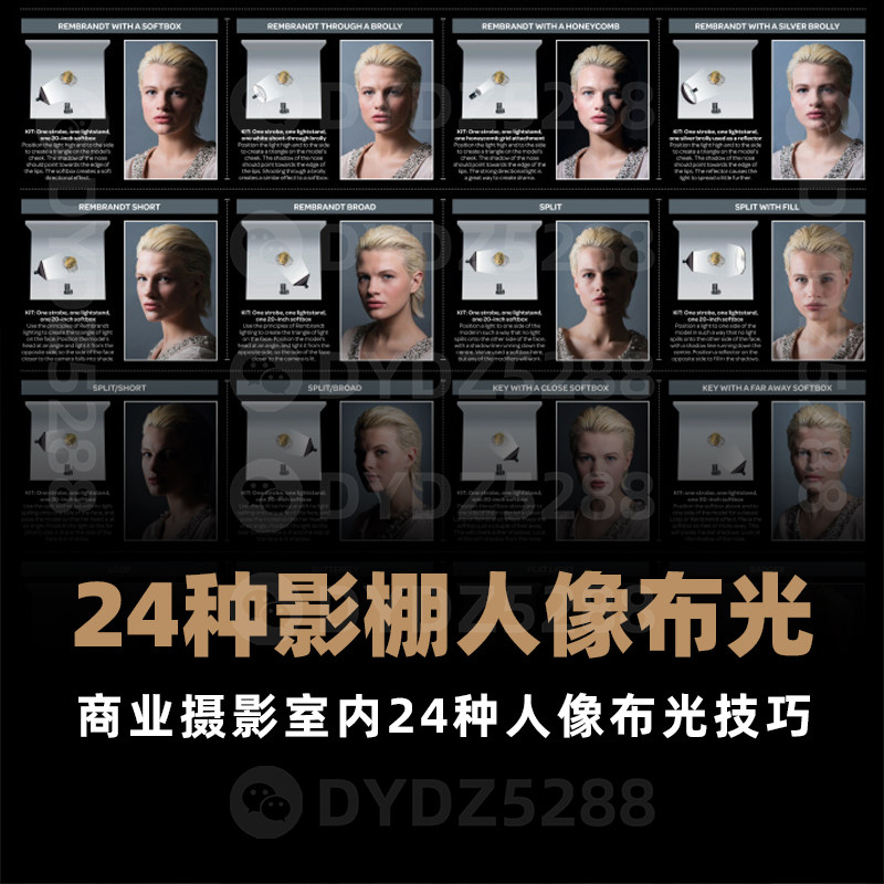 F11摄影灯光教程 人像摄影大师的二十四种必学室内棚拍布光宝典