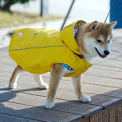 DEVIL NUT潮牌 狗狗雨衣冲锋衣连帽防水中大型犬金毛边牧狗衣服