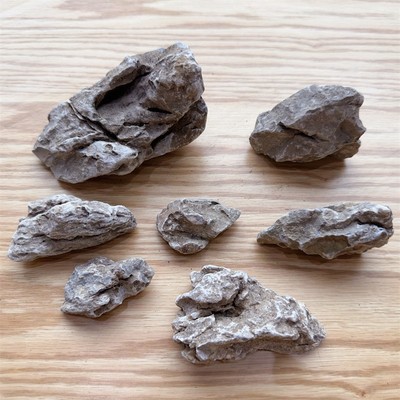 苔藓微景观多肉DIY摆件