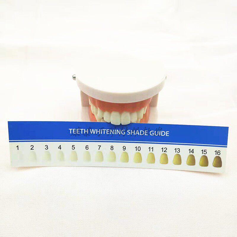 牙齿比色板牙齿美白比色板比色卡 冷光美白比色卡对比卡