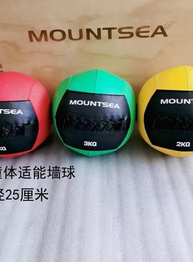 MOUNTSEA健身墙球儿童实心少儿体适能软药球耐力爆发力运动训练