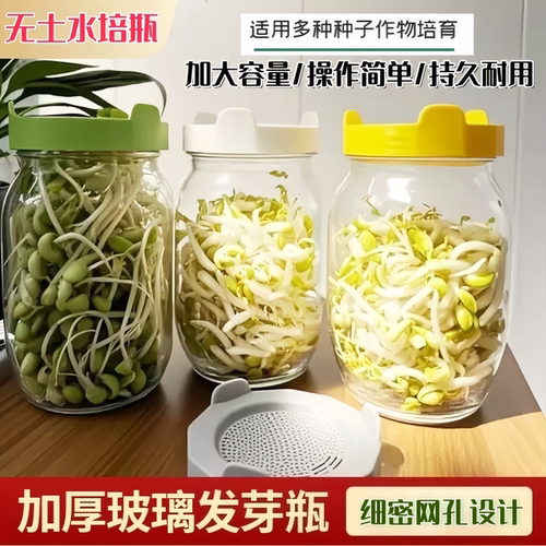 家用生豆芽大容量梅森瓶发芽罐
