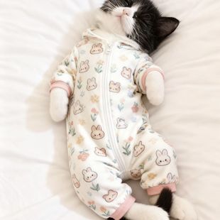 猫咪可爱保暖小猫睡衣Kitty猫新款 幼犬通用超萌 家居舒适四脚款