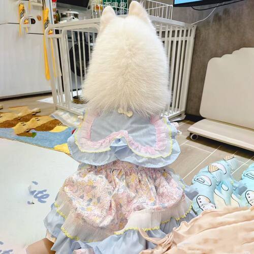 宠物春夏公主大中型犬绑带网纱裙宠物狗狗猫咪衣服萨摩耶防掉毛