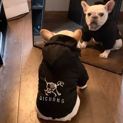 宠物狗狗衣服雪纳瑞法斗衣服冬季保暖加厚棉衣泰迪柯基巴哥棉衣服