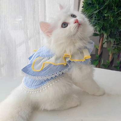 猫咪衣服薄款夏季布偶猫裙子可爱幼猫公主裙夏天宠物猫猫小猫裙子