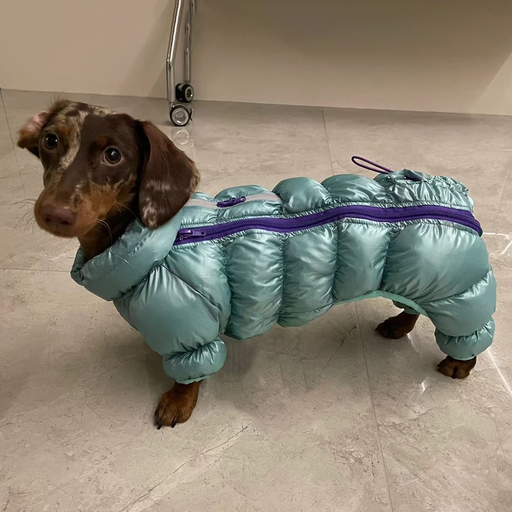 腊肠犬衣服小狗狗棉服泰迪肠仔宠物秋冬装冬天穿猫咪保暖棉衣