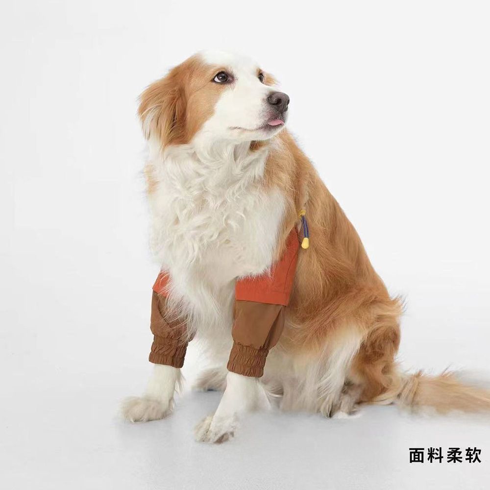 宠物狗狗专用护肘衣金毛边牧中大型犬防舔防磨前腿关节保护套护膝