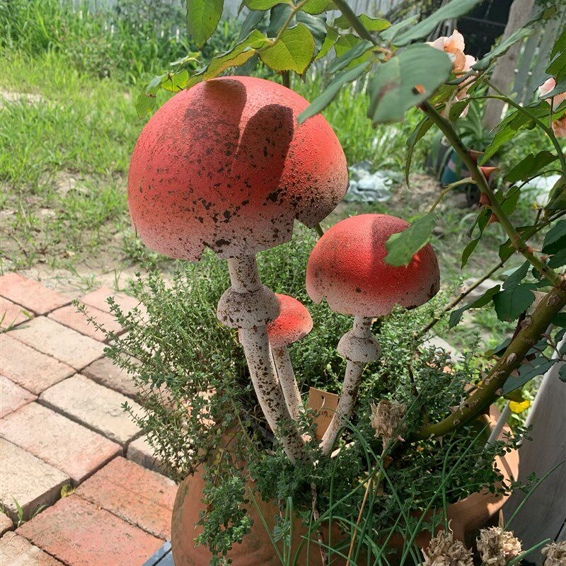 莫里斯花园 花园杂货z 白杆杆红伞伞蘑菇花插