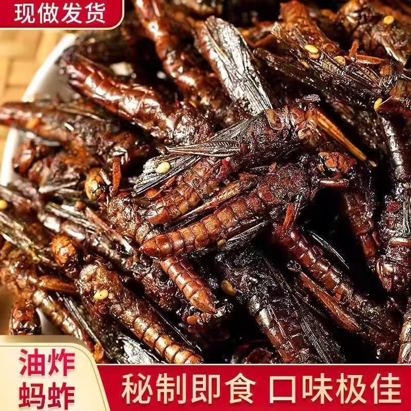 蚂蚱油炸即食下饭菜香辣炸虫子小吃炸金蝉昆虫美食养生零食蚱蜢