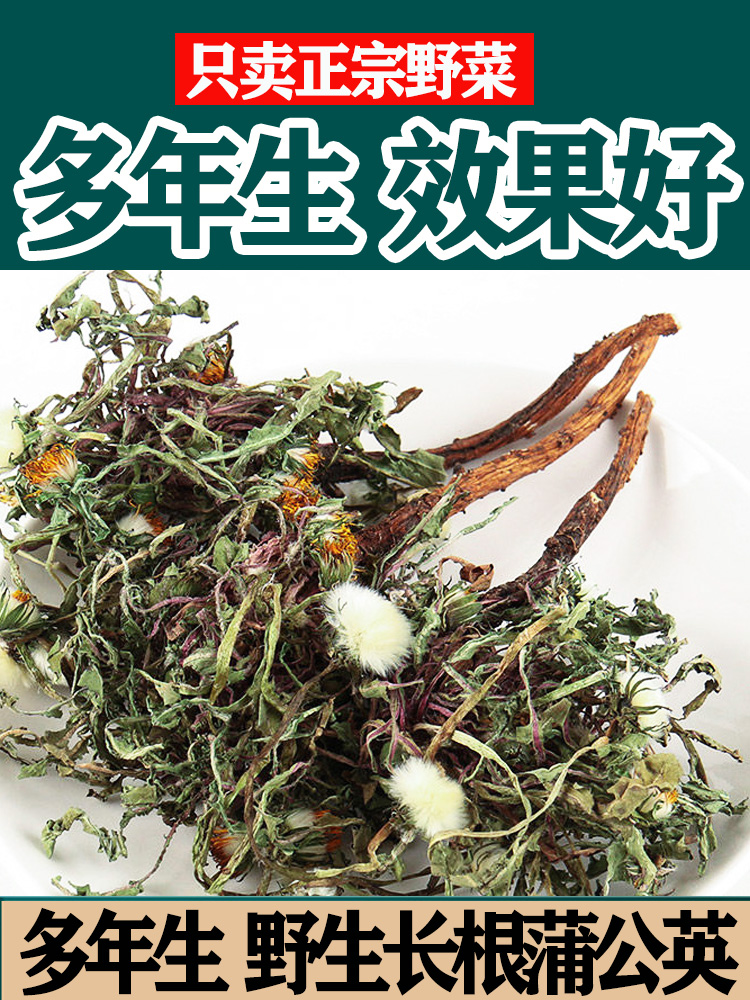 炒蒲公英根和叶正品长白山中药材婆婆丁散结茶苦丁的功效茶叶干草