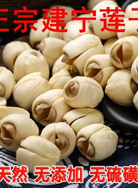 正宗福建建宁莲子原产地直销今年的新莲子农家特产无芯取芯500g克