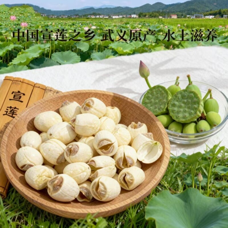 武义宣莲特产级白莲子干货去芯莲米粉糯易煮宣平手工贡莲新货大颗