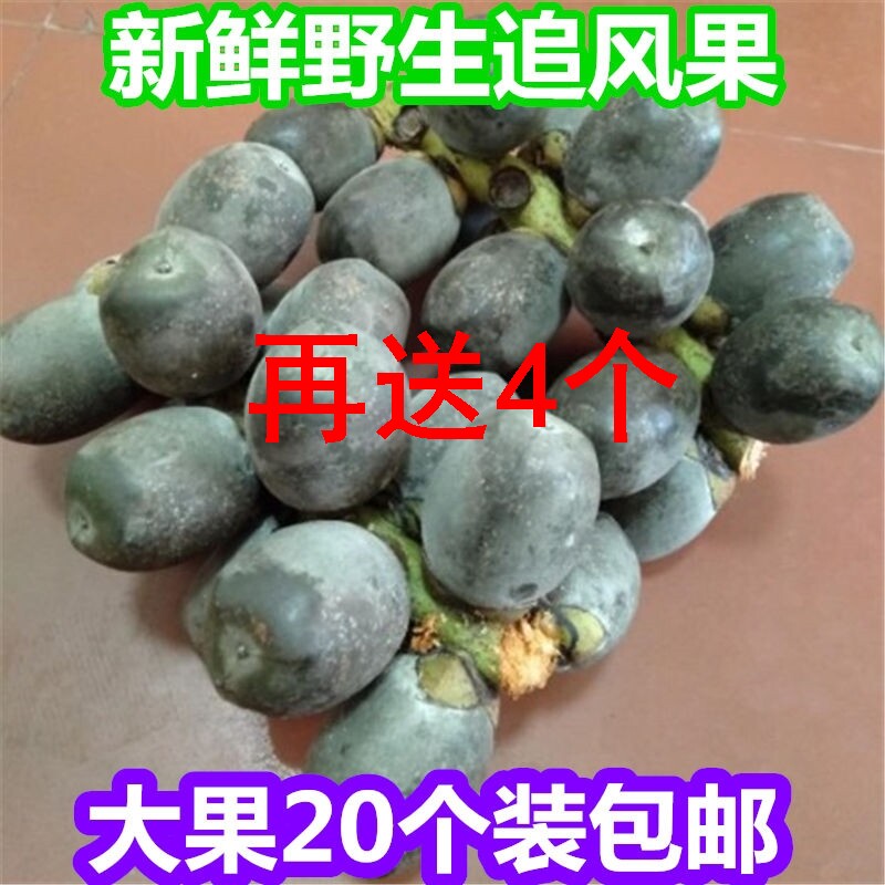 越南正宗新鲜追风果泡酒中药材刺虎鲜果24个装包邮大果涂皮肤外用