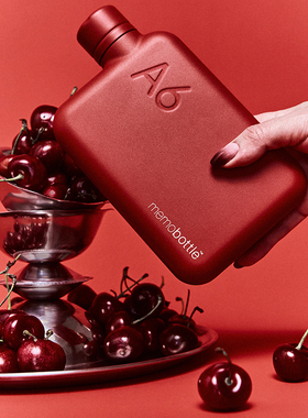 【全球新款首发】memobottle不锈钢扁平水杯随手杯随行杯生日礼物