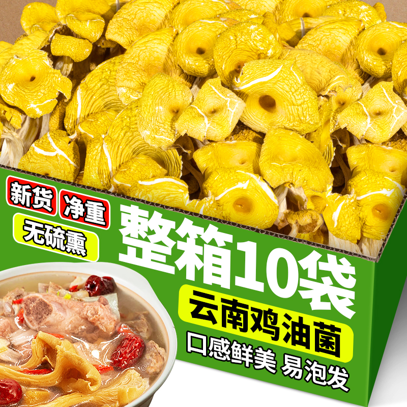 鸡油菌干货云南特产黄金菇榆黄蘑干菇菌菇煲汤新鲜磨菇类煲汤食材