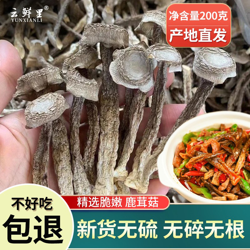 鹿茸菇脆脆菇香菇无碎干货400g鹿茸菌新鲜野生菌无熏硫煲汤食材 粮油调味/速食/干货/烘焙 香菇类 原图主图