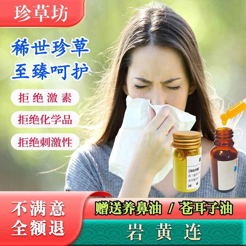 特级岩黄连粉赠养鼻油苍耳子油鼻窦鼻甲鼻黏膜