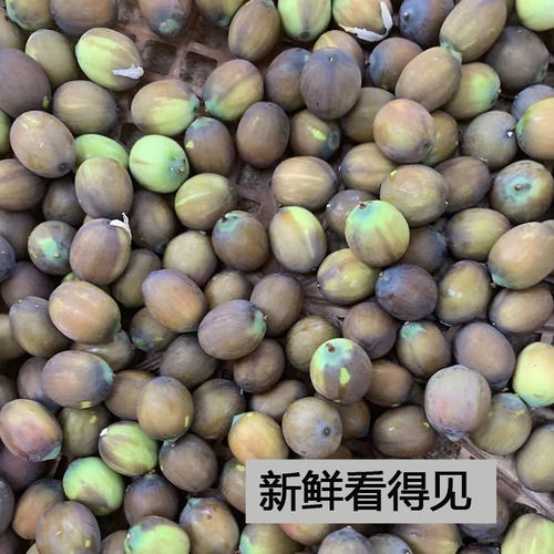 新鲜莲子煲汤广昌白莲子米