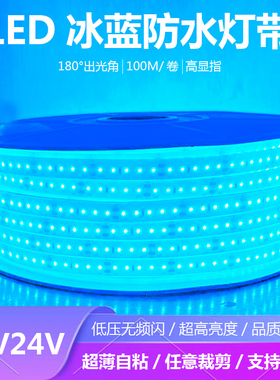 冰蓝色硅胶防水灯带超亮鱼缸鱼池水池24V自粘低压水下专用灯带条
