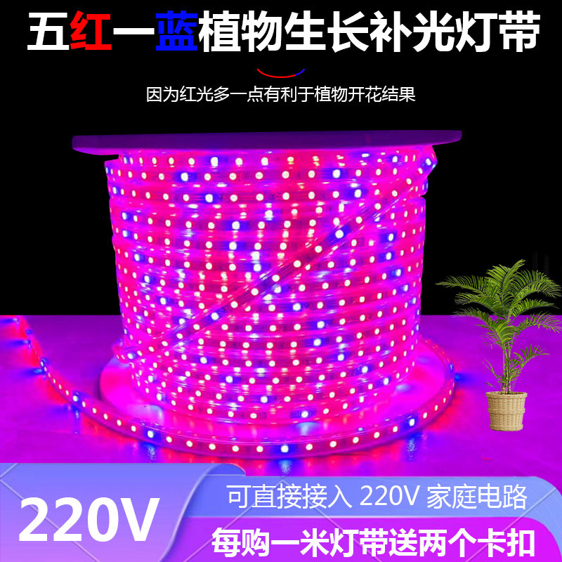 植物补光LED灯带条防水全光谱图片