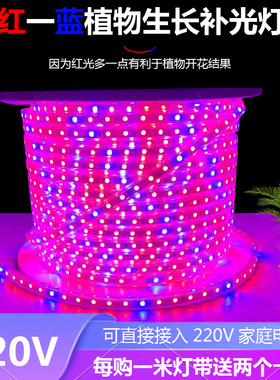 LED植物补光灯带条全光谱生长灯室内育苗花卉蔬菜草大棚种植220V