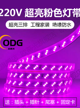 220V三排180灯超高亮防水户外可用粉红色LED灯带条亮化粉紫玫红色
