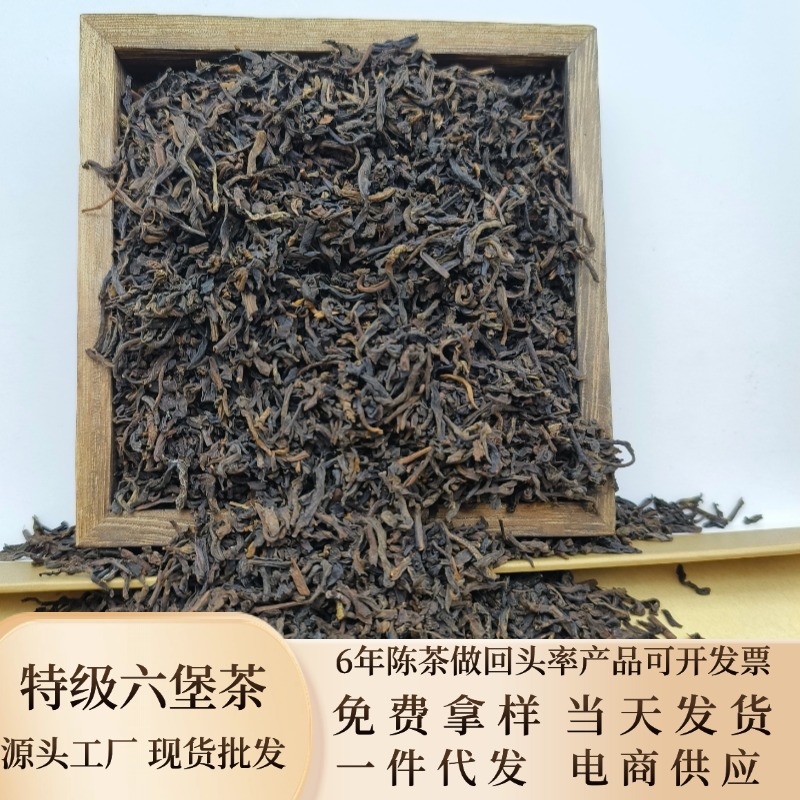 广西梧州特产金花六堡茶500g礼盒