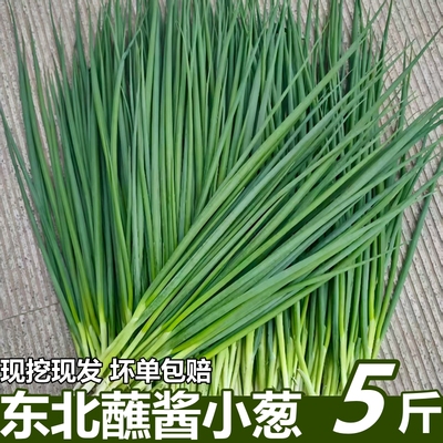 东北小葱新鲜农家蘸酱