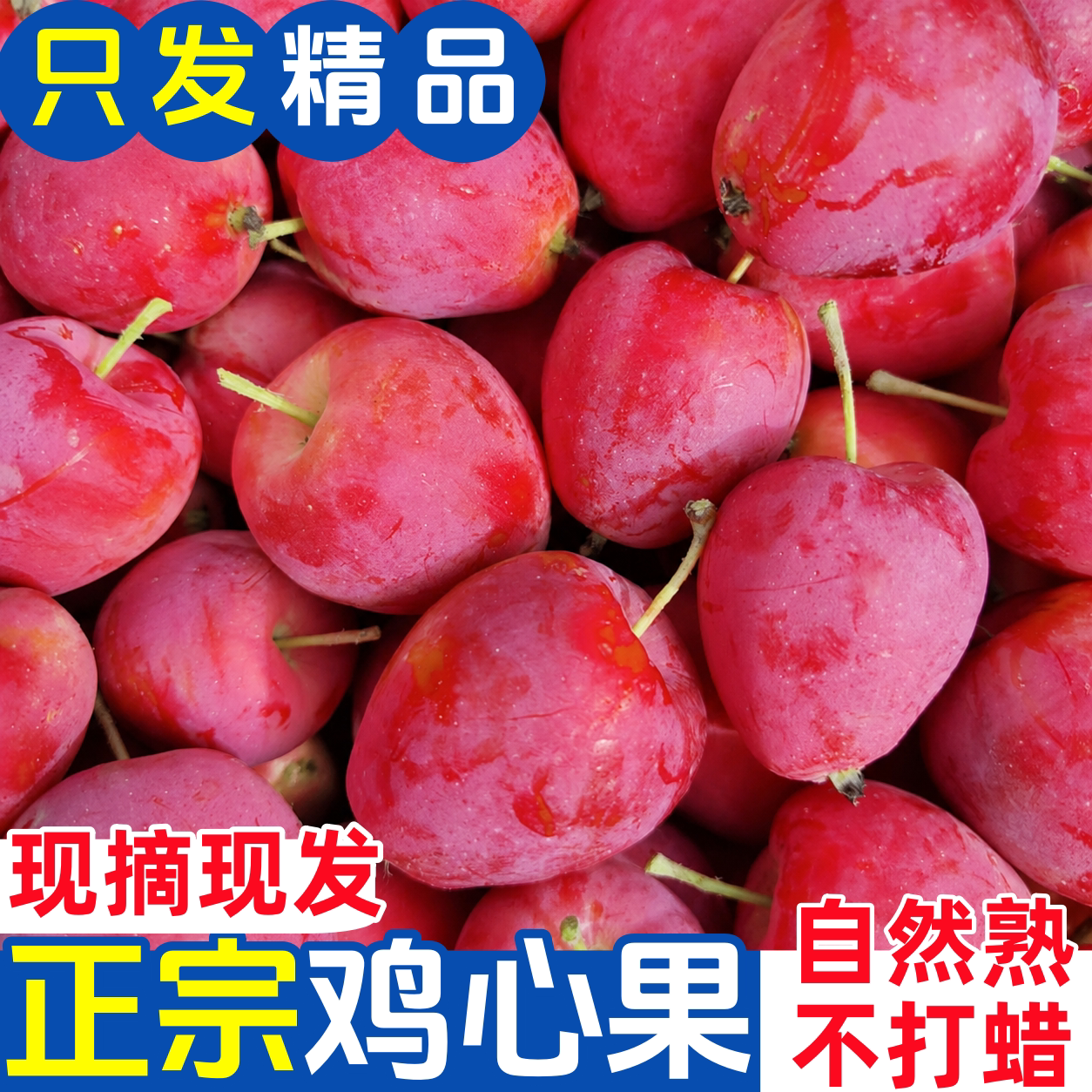 东北鸡心果特产新鲜水果图片