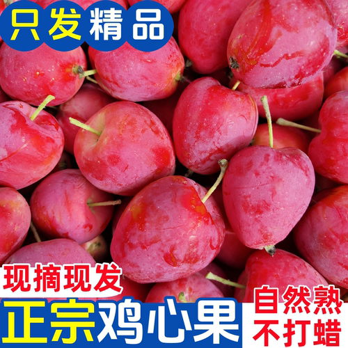 东北鸡心果特产新鲜水果