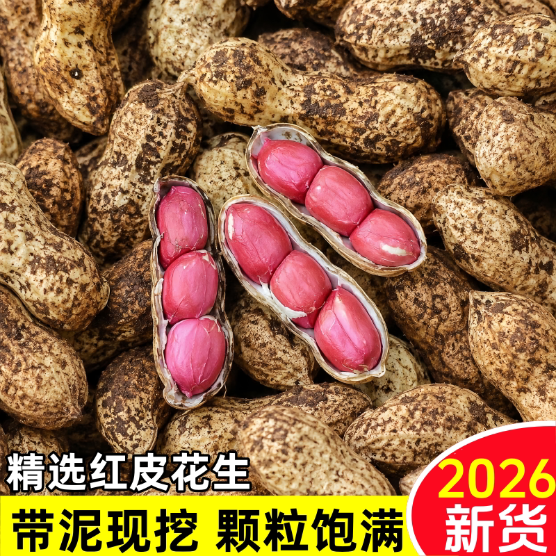 2026新鲜湿花生红皮现挖带壳生花生新鲜农家水煮生吃当季泥壳花生 - 实物图
