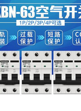 小型断路器 家用电闸开关 空气开关 1P/2P/3P/4P 空开6A16A32A63A