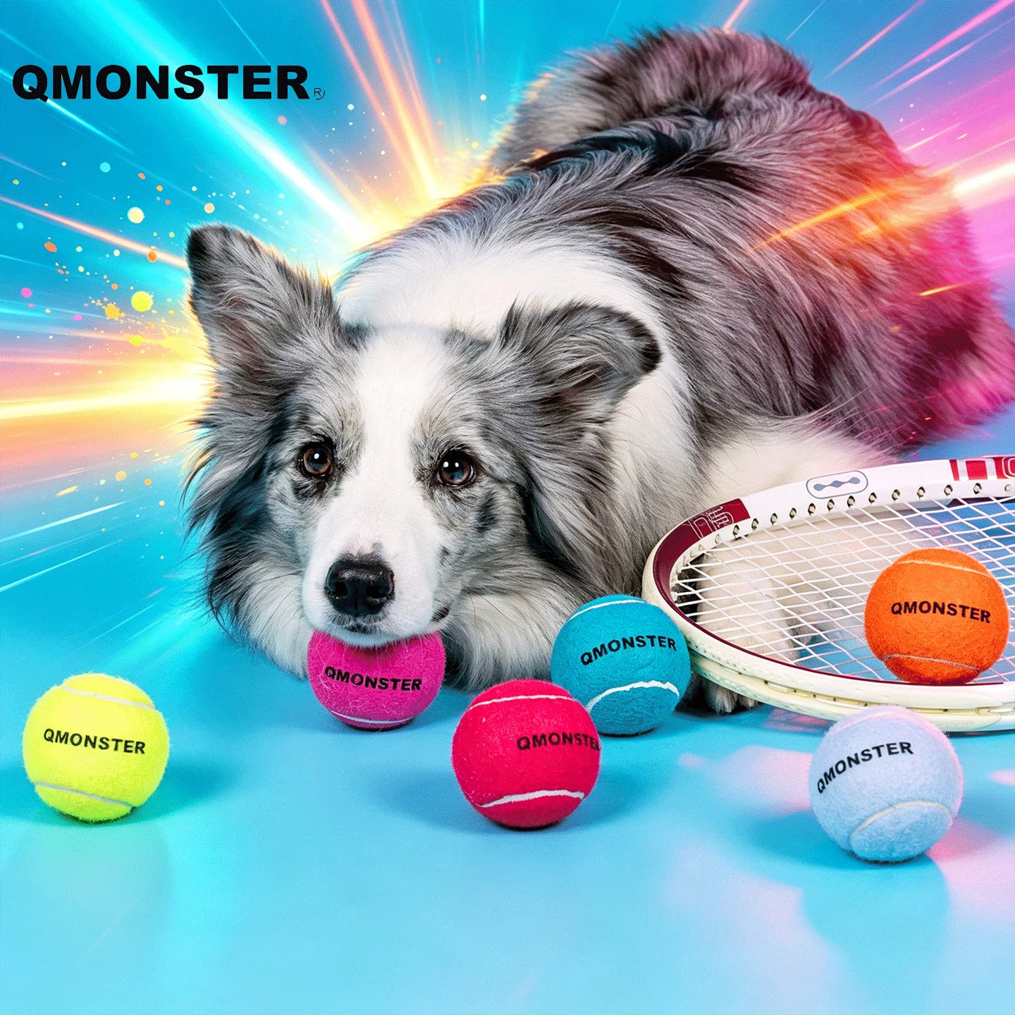 QMONSTER橡胶网球宠物玩具狗狗抛掷训练球形互动玩具宠物玩具娱乐