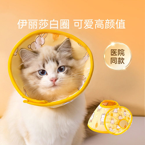 伊丽莎白圈猫咪绝育项圈伊利沙白