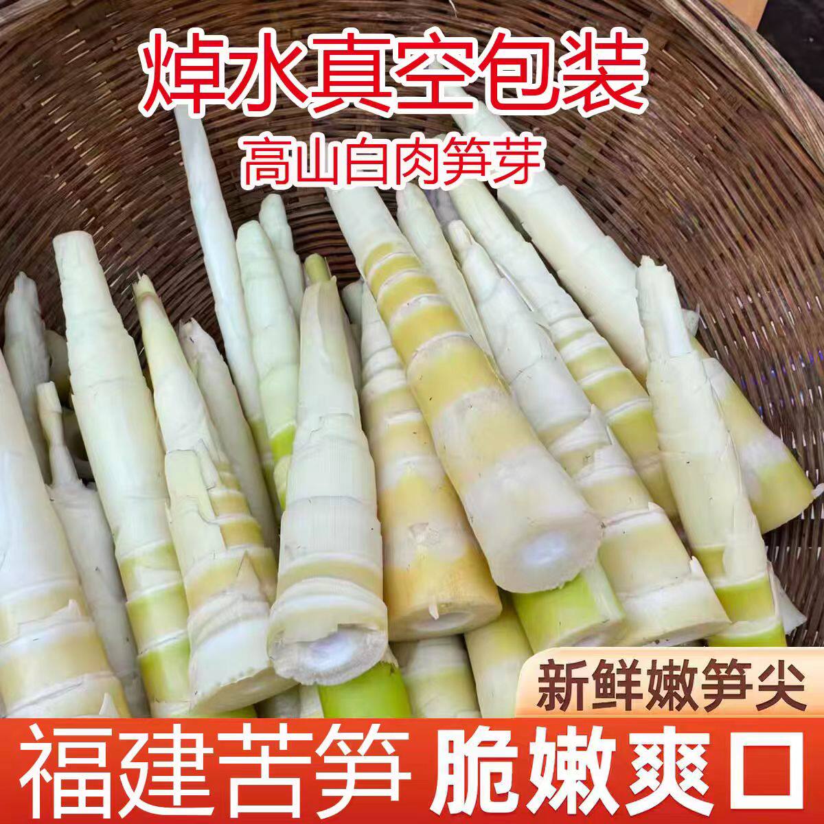 新鲜野生苦笋嫩笋竹笋真空包装福建野生苦竹笋现挖现发竹笋甘凉笋