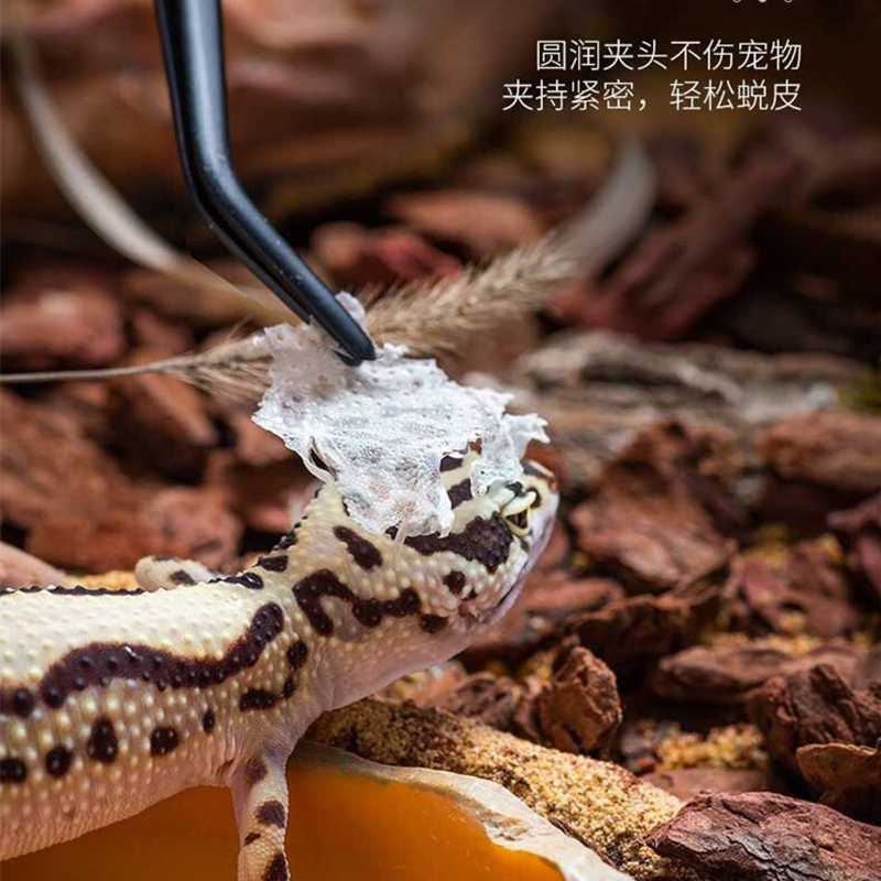 不锈钢镊子加长黑色爬虫豹纹守宫乌龟喂食鱼缸水草圆头弯直头带齿