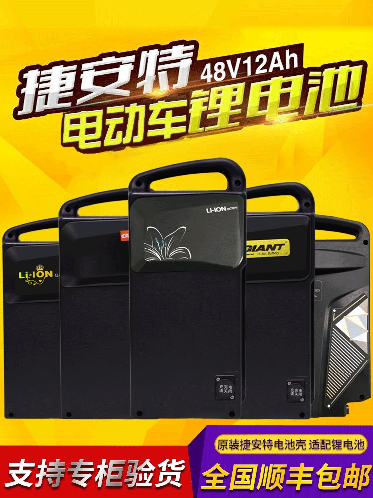 星恒原装锂电捷安特电动车48伏锂电池假一罚十支持验货